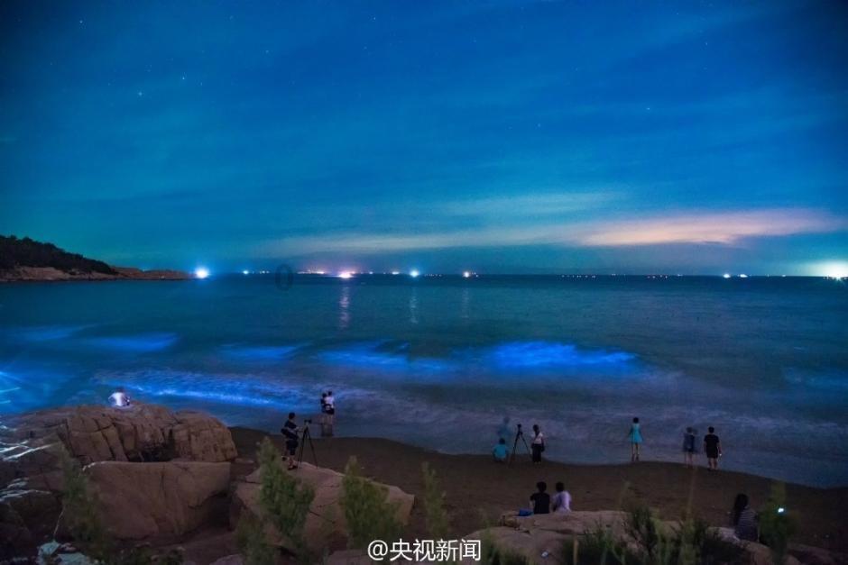 学琴的路上有您真好:这您能否去掉心字底？